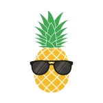 prompt_4_1_1763013518